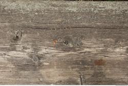 Photo Textures of Wood